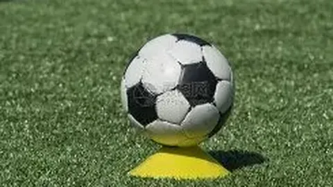 星耀娱乐 产品 084207 sem