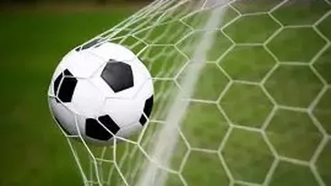 星耀娱乐 产品 084225 zin