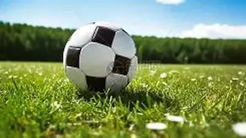 星耀娱乐 产品 144034 odn