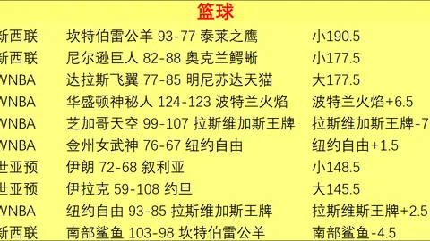 吉马良斯转会阿森纳在即，星耀娱乐中心，，8000万欧转会费尘埃落定终极转会指南