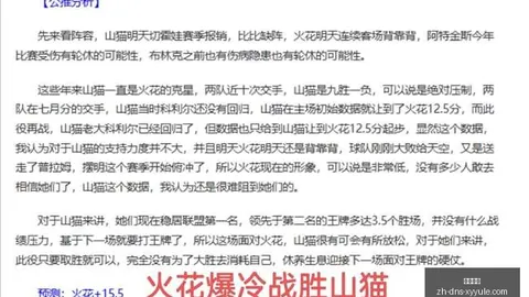 昨胜：初探深让背后的真相与风险