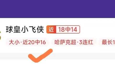 南美杯攻略：最佳时机精准策略
